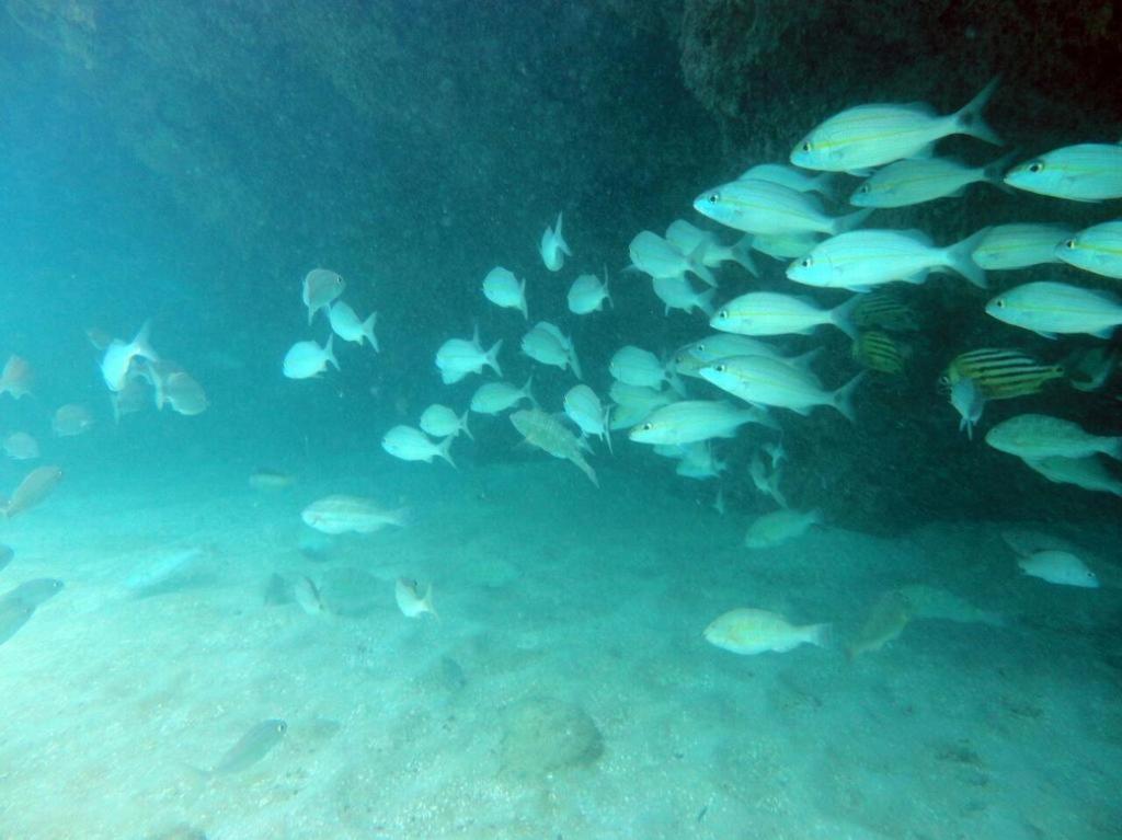 Maceió Kitnet Sabrinna المظهر الخارجي الصورة